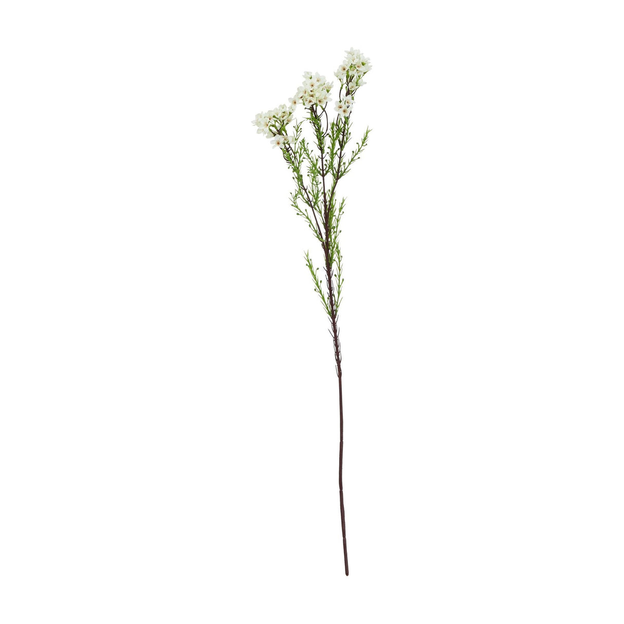 Hill Interiors White Waxflower 80cm faux stem with clusters of tiny white blooms and fine green foliage on a slender branching stem.