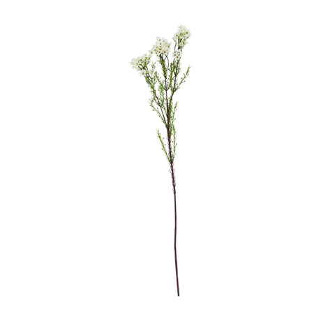 Hill Interiors White Waxflower 80cm faux stem with clusters of tiny white blooms and fine green foliage on a slender branching stem.