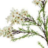 Close-up of Hill Interiors White Waxflower faux stem with clusters of tiny five-petalled white blooms and fine green foliage on a white background.