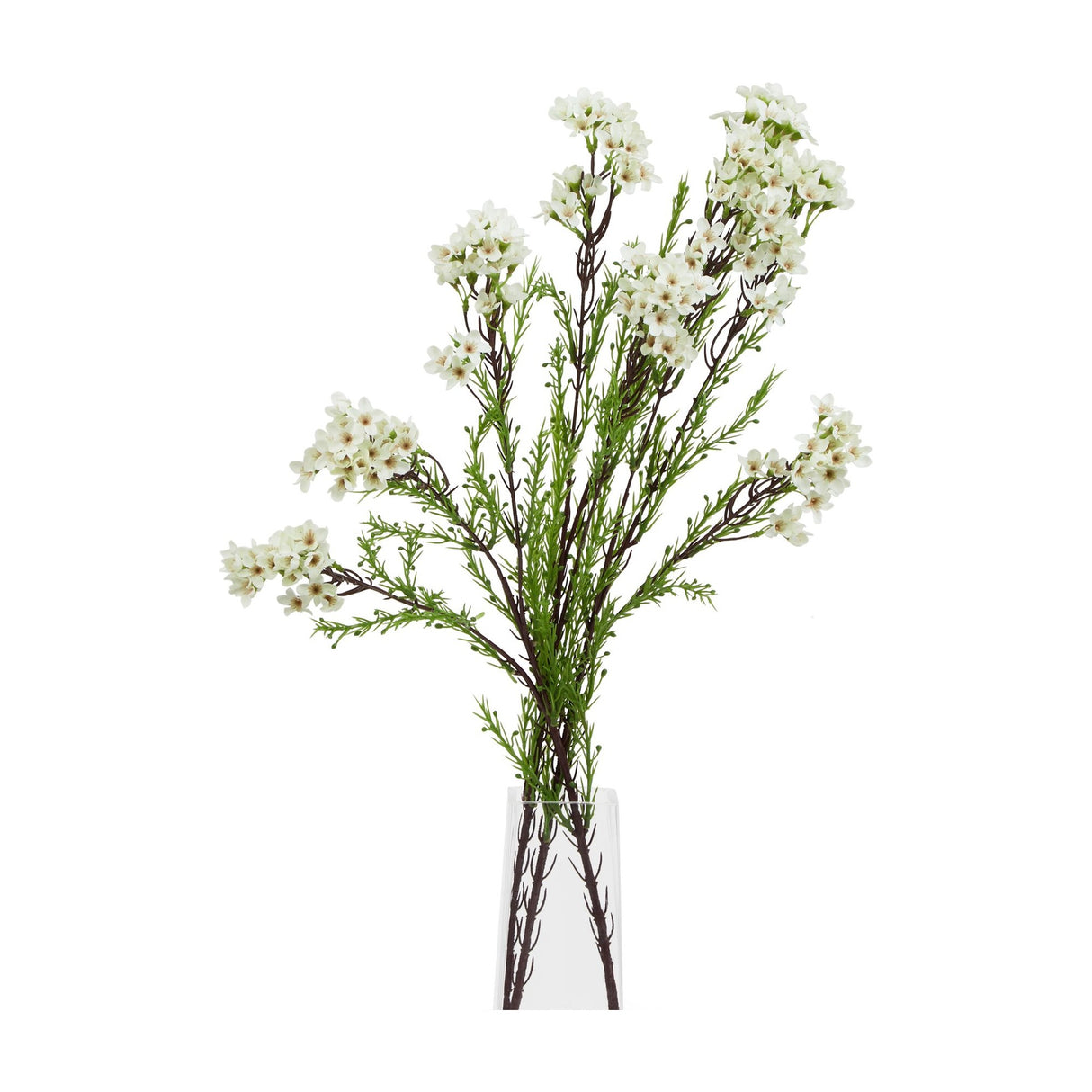 Hill Interiors White Waxflower faux stem with clusters of small white blooms and fine green foliage, displayed in a clear glass vase on a white background.