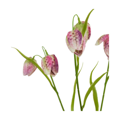 Hill Interiors Purple Fritillaria Stem close-up showing speckled purple bell-shaped blooms nodding from slender green stems against a white background.
