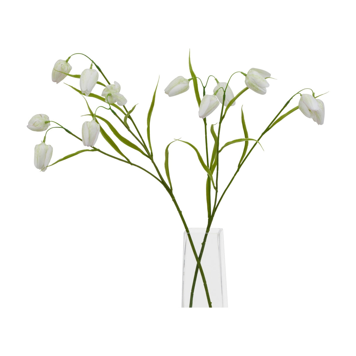 Hill Interiors White Fritillaria Stem with nodding cream bell blooms and slim green foliage arranged in a clear tapered glass vase on a white background.