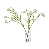 Hill Interiors White Fritillaria Stem with nodding cream bell blooms and slim green foliage arranged in a clear tapered glass vase on a white background.