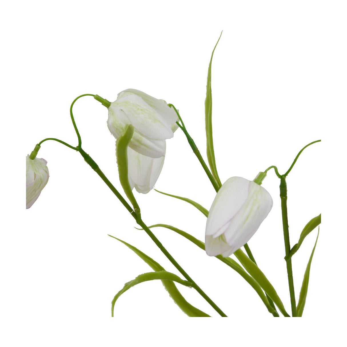 Hill Interiors White Fritillaria Stem with bell-shaped cream-white blooms nodding on slim green stems with slender foliage, on a white background.
