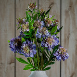 Hill Interiors Purple Scabious Stem arranged in a stone vase, showing layered purple petals with textured buds and slim green leaves against wood panelling.