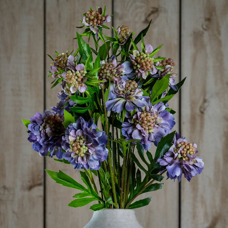 Hill Interiors Purple Scabious Stem arranged in a stone vase, showing layered purple petals with textured buds and slim green leaves against wood panelling.