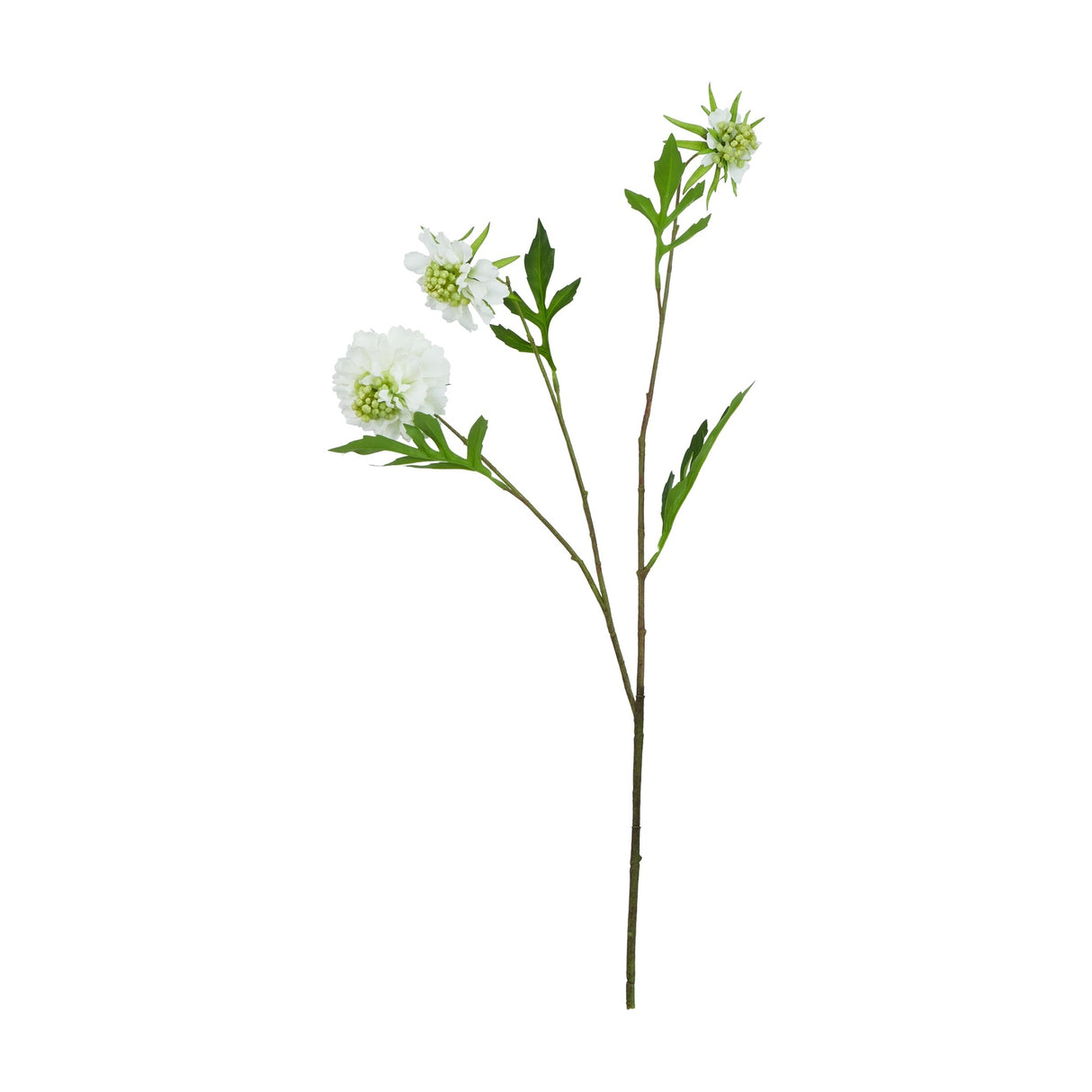 Hill Interiors White Scabious Stem faux plant with three ruffled white blooms, green domed centres and slender leafy stem on a white background.