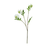 Hill Interiors White Scabious Stem faux plant with three ruffled white blooms, green domed centres and slender leafy stem on a white background.