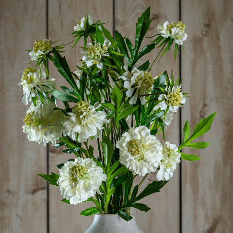 Hill Interiors White Scabious Stem arrangement with ruffled white blooms and green foliage displayed in a pale vase against wooden panelling.