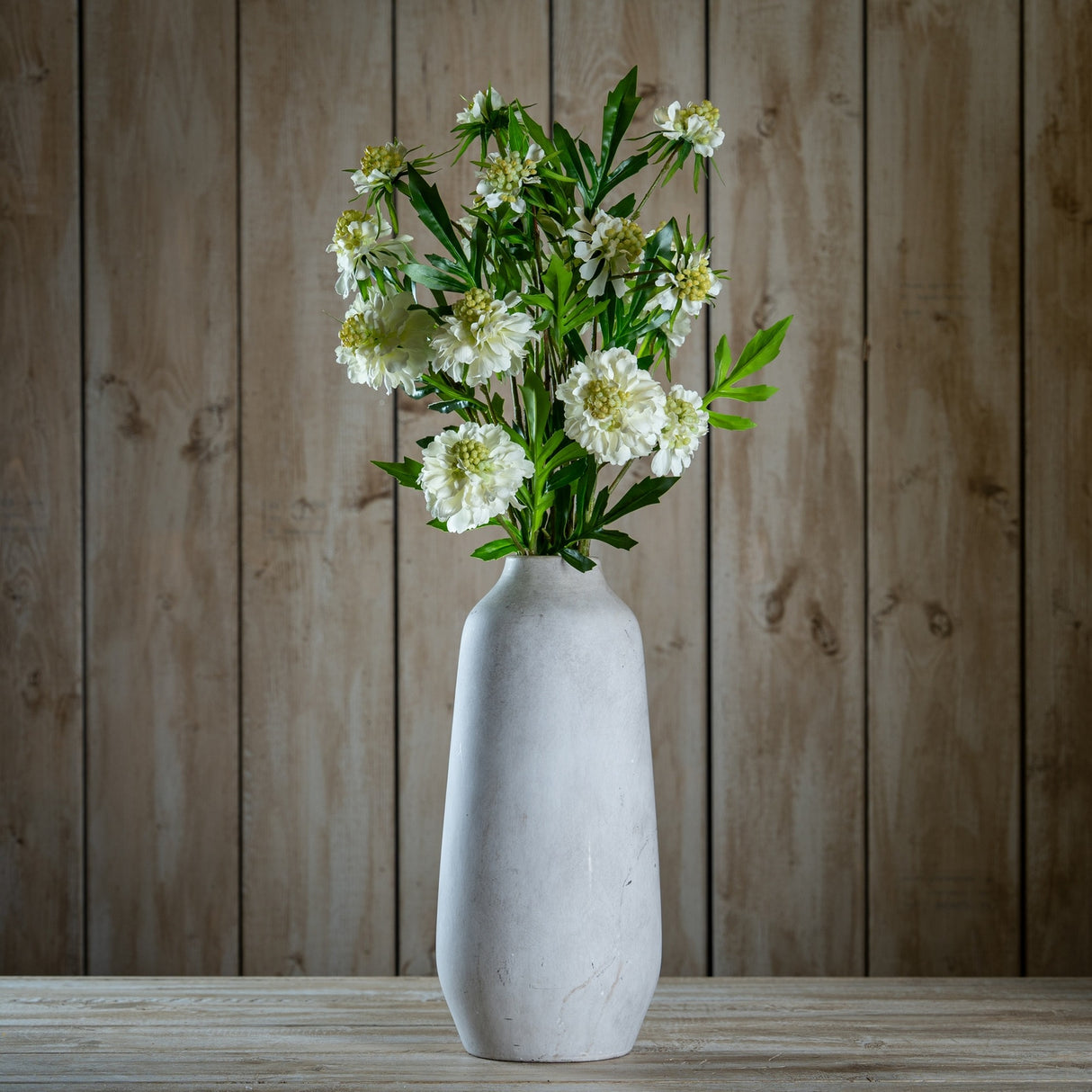 Hill Interiors White Scabious Stem arranged in a tall pale stone vase against a rustic wooden plank backdrop, showing ruffled white blooms and green foliage.