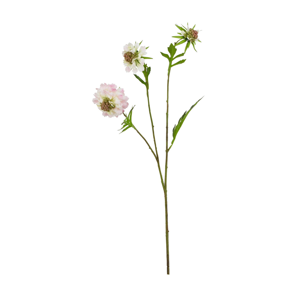 Hill Interiors Pale Pink Scabious Stem, a faux flower spray with two pink pincushion blooms, a green bud and slim leaves, on a white background.