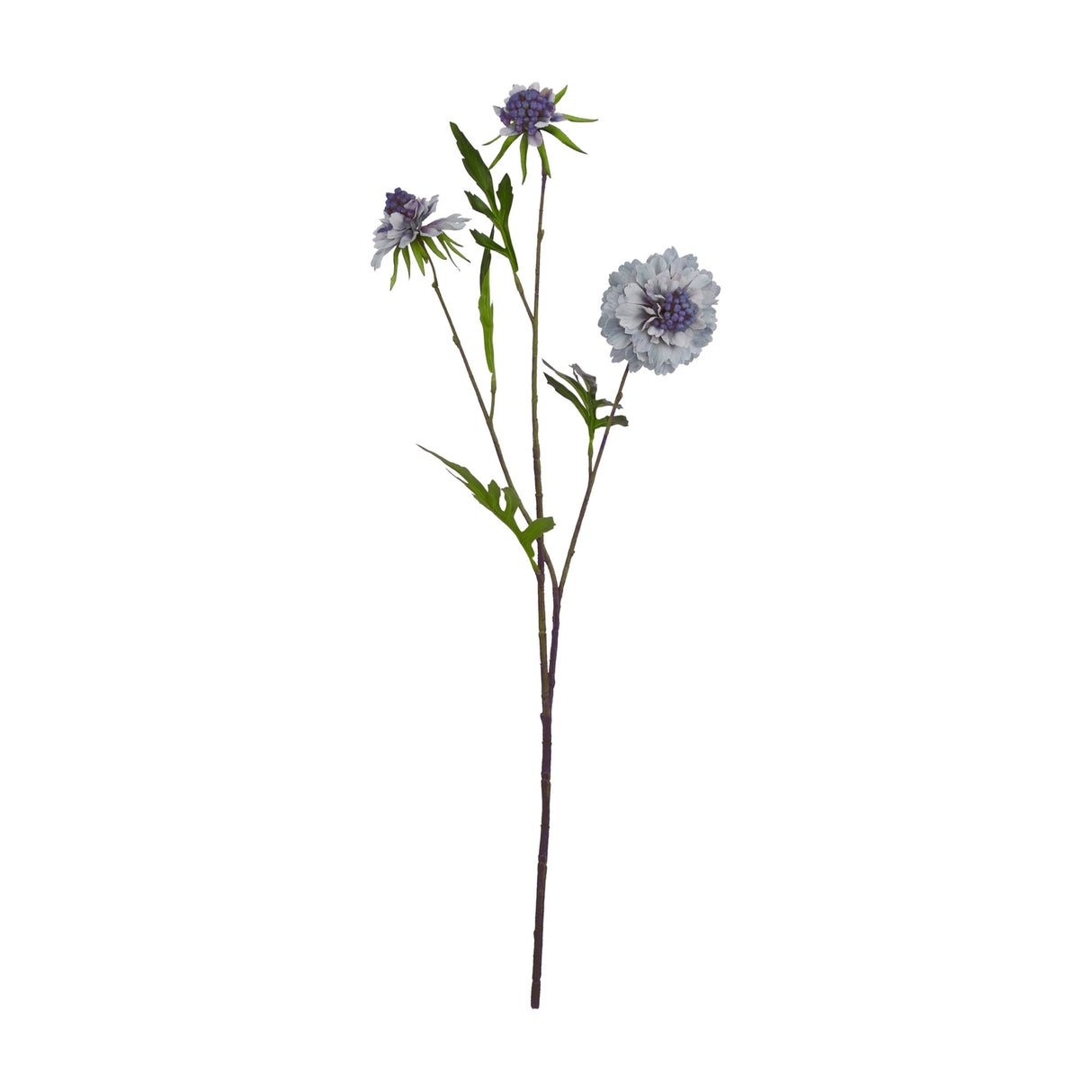 Hill Interiors Pale Blue Scabious Stem faux flower with three pincushion blooms in muted blue and green leaves on a plain white background.