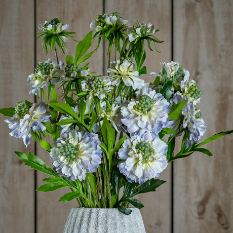 Hill Interiors Pale Blue Scabious Stems arranged in a textured stone vase, showing frilled pale blue petals and green pincushion centres against wood panelling.