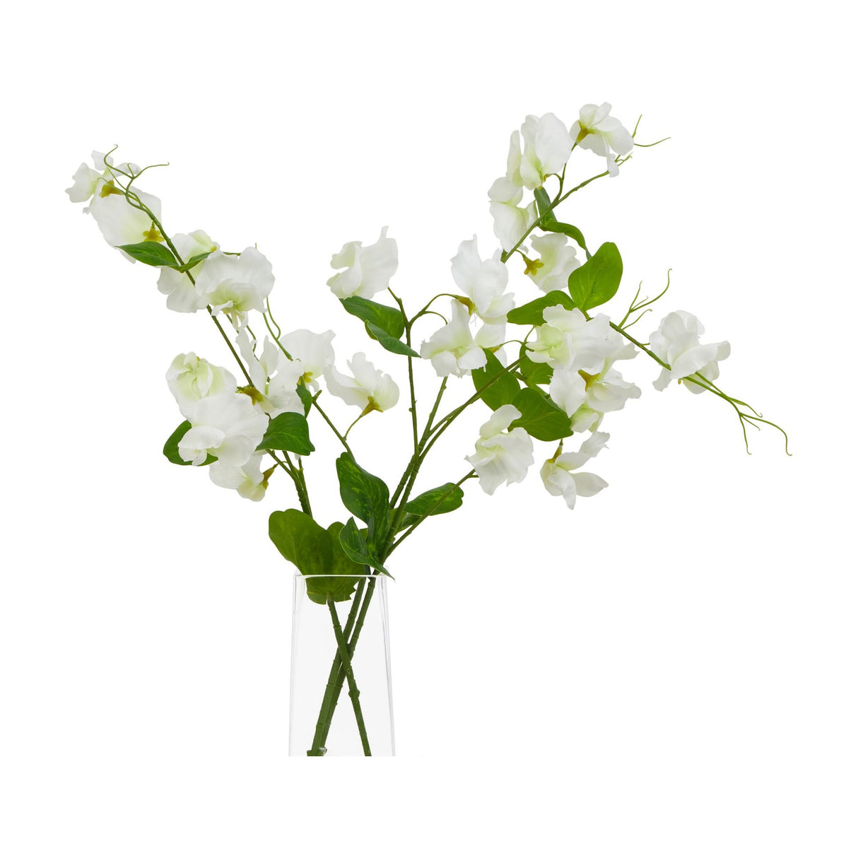 Hill Interiors White Sweetpea Stem faux flower arrangement with ruffled white blooms and green foliage displayed in a clear glass vase on a white background.
