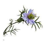 Hill Interiors Purple Nigella Love In A Mist faux flower stem with lilac-purple petals, green stamens and fine feathery bracts on a plain background.