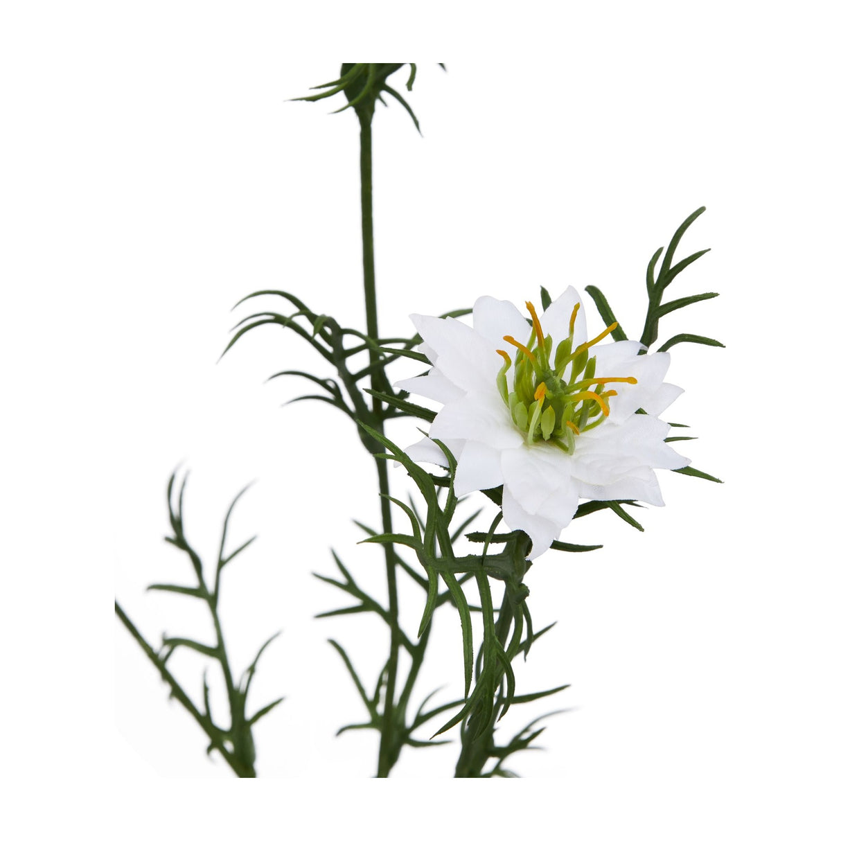 Hill Interiors White Nigella Love In A Mist faux flower stem with open white petals, green and yellow stamens and feathery foliage on a white background.