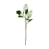 Hill Interiors White Lilac Stem with two clusters of four-petalled florets and heart-shaped green leaves on a bendable stem, on a white background.