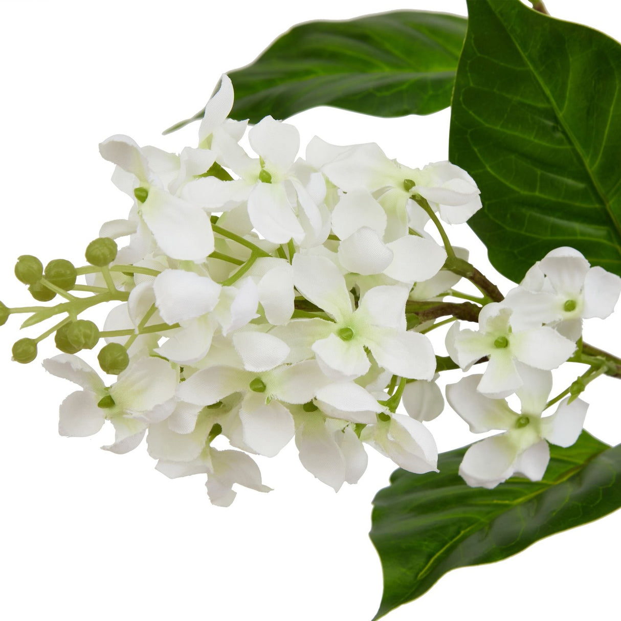 Hill Interiors White Lilac Stem close-up showing clustered four-petalled white florets with green buds and heart-shaped leaves against a white background.