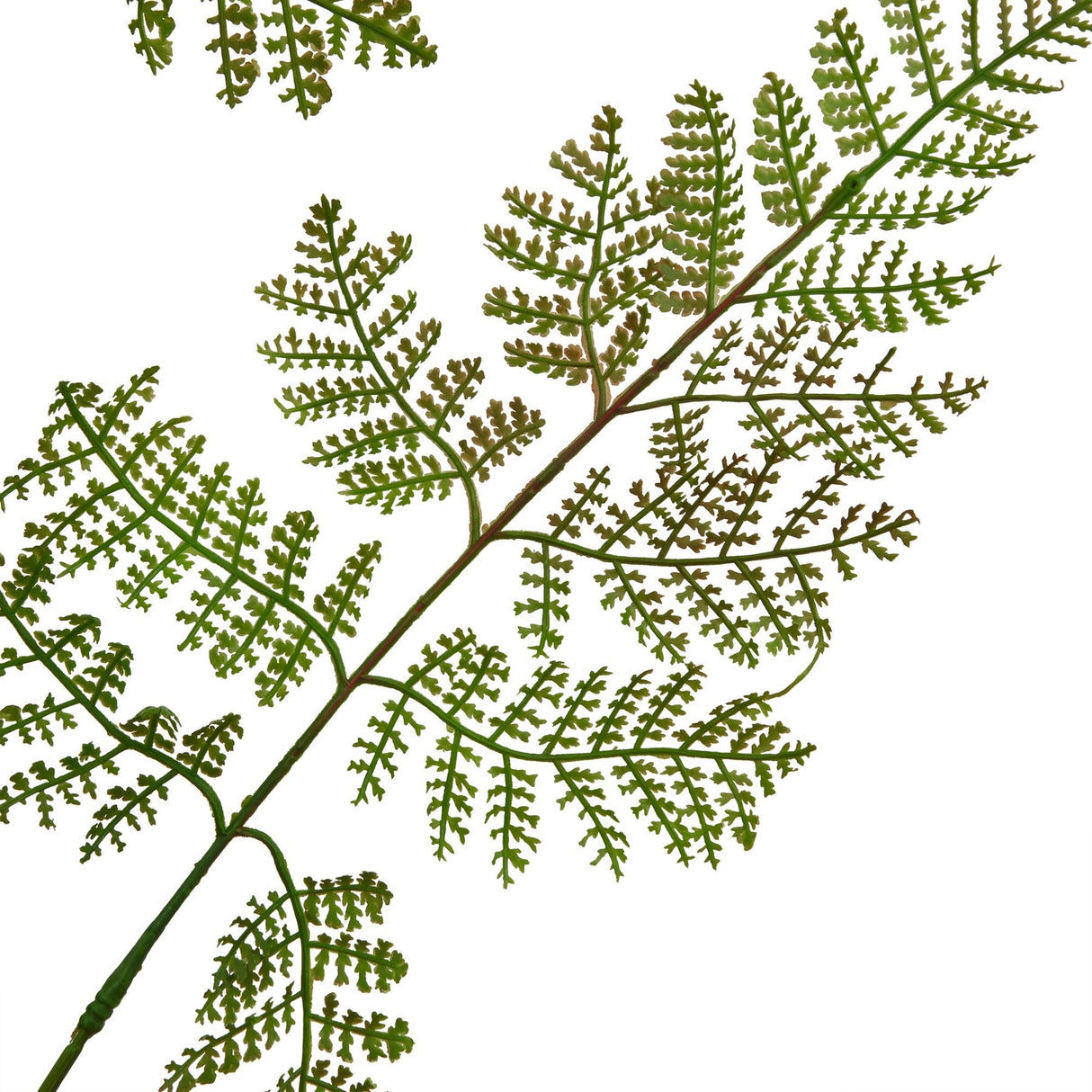 Close-up of the Hill Interiors Large Bracken Fern Spray showing feathery green faux foliage with tapering leaflets on arching stems against a white background.