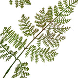 Close-up of the Hill Interiors Large Bracken Fern Spray showing feathery green faux foliage with tapering leaflets on arching stems against a white background.