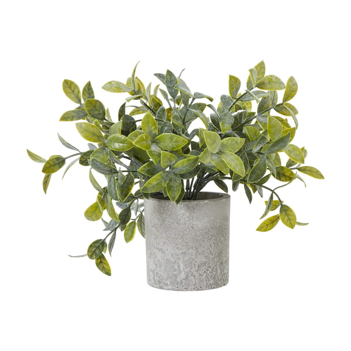 Hill Interiors Small Box Plant faux potted shrub with dense green leaves in a textured grey cylindrical pot, shown on a plain white background.