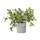 Hill Interiors Small Box Plant faux potted shrub with dense green leaves in a textured grey cylindrical pot, shown on a plain white background.