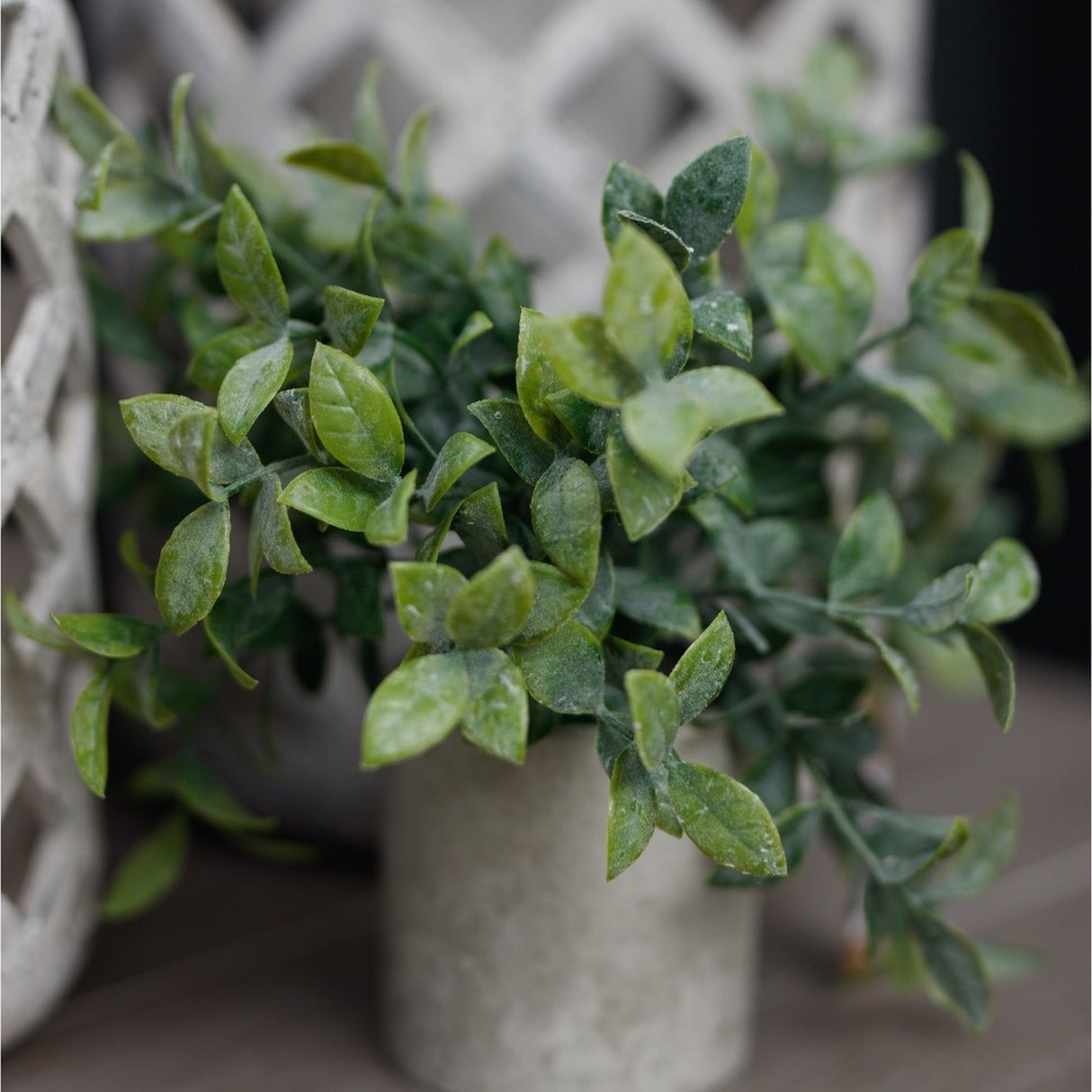 Hill Interiors Small Box Plant In Grey Pot, a compact faux box shrub with densely clustered green leaves, styled beside a lattice-patterned stone planter.