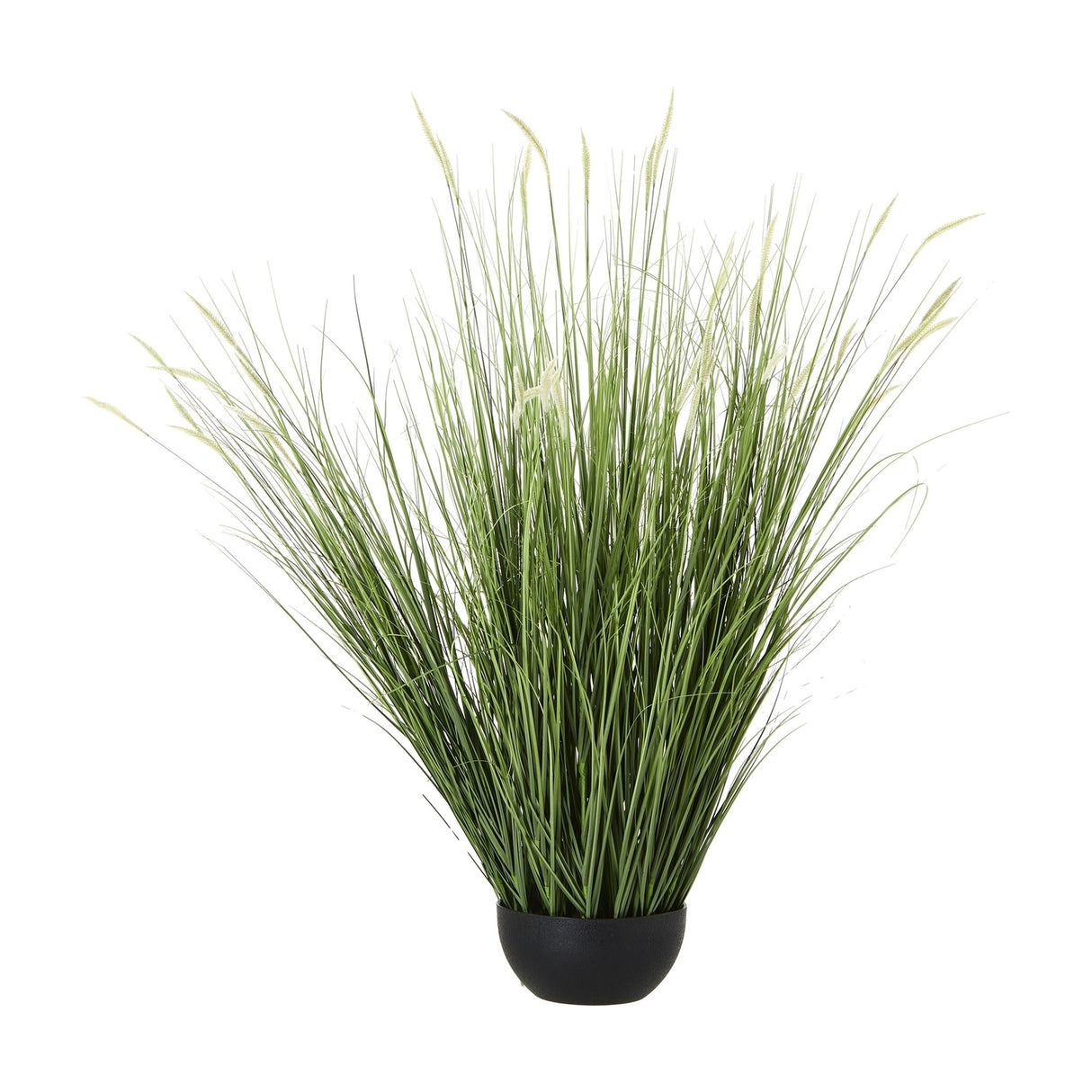 Hill Interiors Large Onion Grass Plant with tall green blades and feathery cream tips in a small black pot, shown against a plain white background.