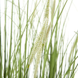 Close-up of Hill Interiors Large Onion Grass Plant In Pot showing slender green blades and soft white tapering seed spikes against a plain white background.