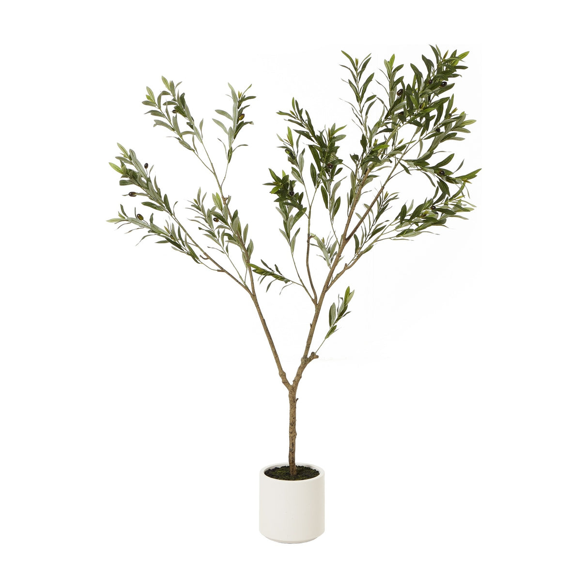 Hill Interiors Apulia 180cm faux olive tree with slender trunk, silvery-green leaves and small olives, set in a white pot against a plain background.