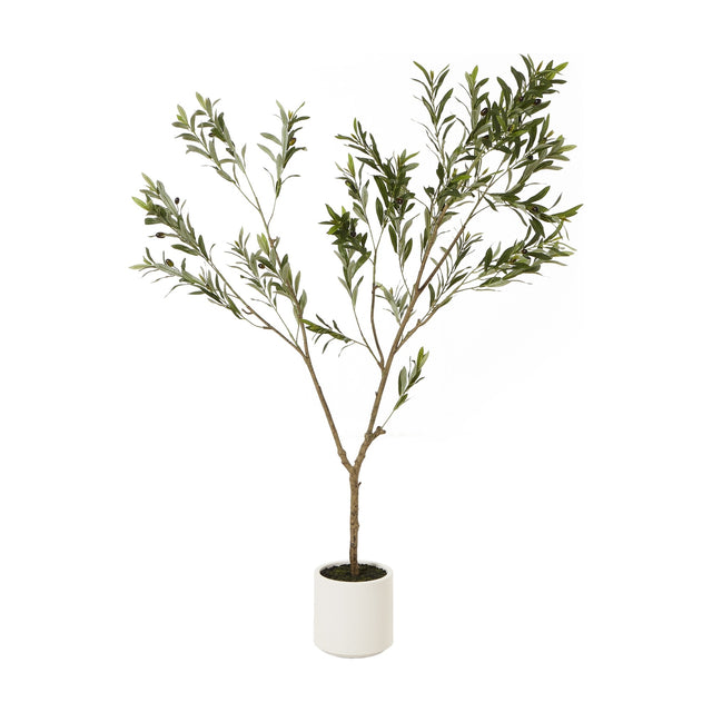 Hill Interiors Apulia 180cm faux olive tree with slender trunk, silvery-green leaves and small olives, set in a white pot against a plain background.