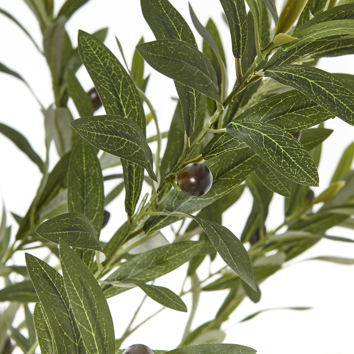 Close-up of the Hill Interiors Apulia artificial olive tree showing narrow silvery-green leaves and small dark olives against a white background.