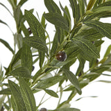 Close-up of the Hill Interiors Apulia artificial olive tree showing narrow silvery-green leaves and small dark olives against a white background.