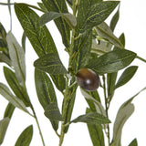 Close-up of the Hill Interiors Apulia artificial olive tree showing narrow silvery-green leaves and a single dark olive on a slender branch.