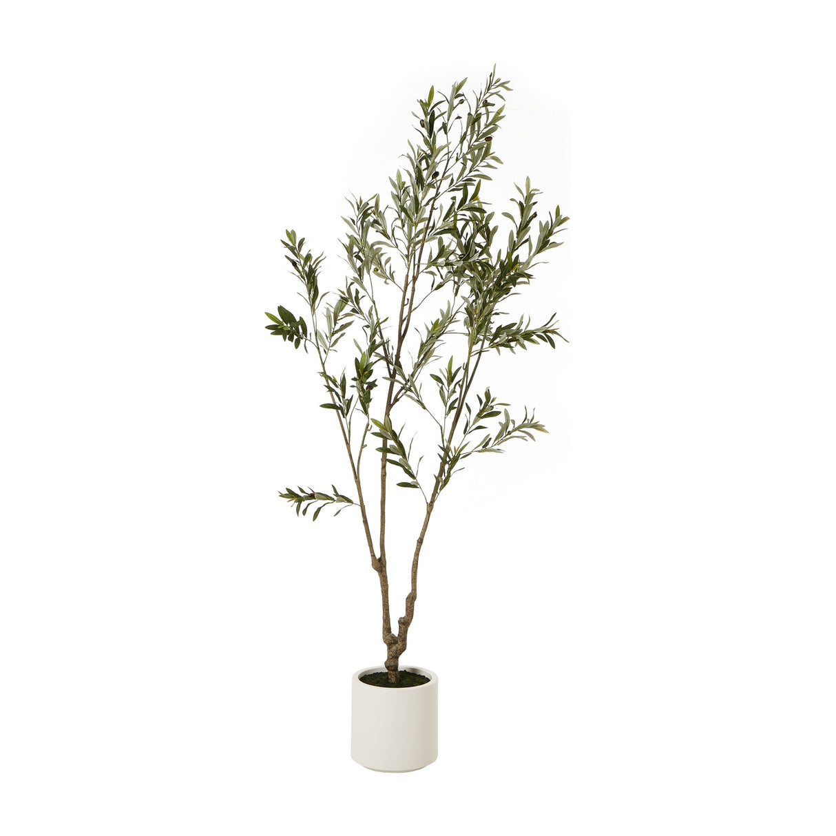 Hill Interiors Apulia 210cm faux olive tree with slender branching trunk and silvery-green foliage in a white cylindrical pot on a plain background.