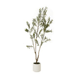 Hill Interiors Apulia 210cm faux olive tree with slender branching trunk and silvery-green foliage in a white cylindrical pot on a plain background.