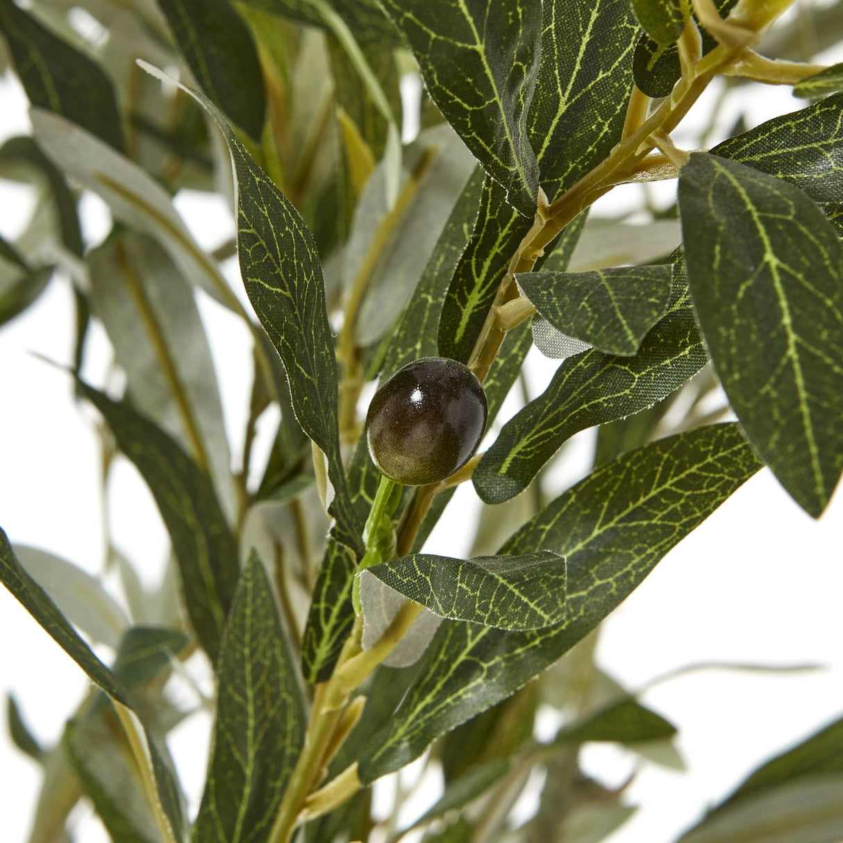 Close-up of the Hill Interiors Apulia artificial olive tree showing silvery-green leaves with detailed veining and a single dark olive on the branch.