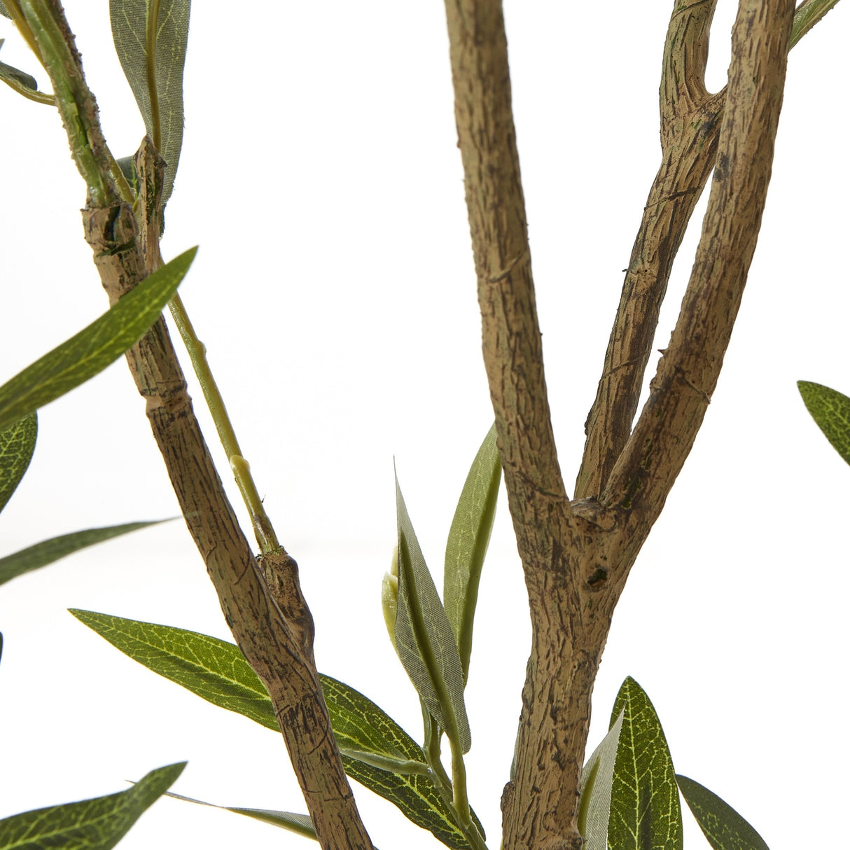 Close-up of the Hill Interiors Apulia artificial olive tree showing textured brown branches and slender silvery-green leaves against a white background.