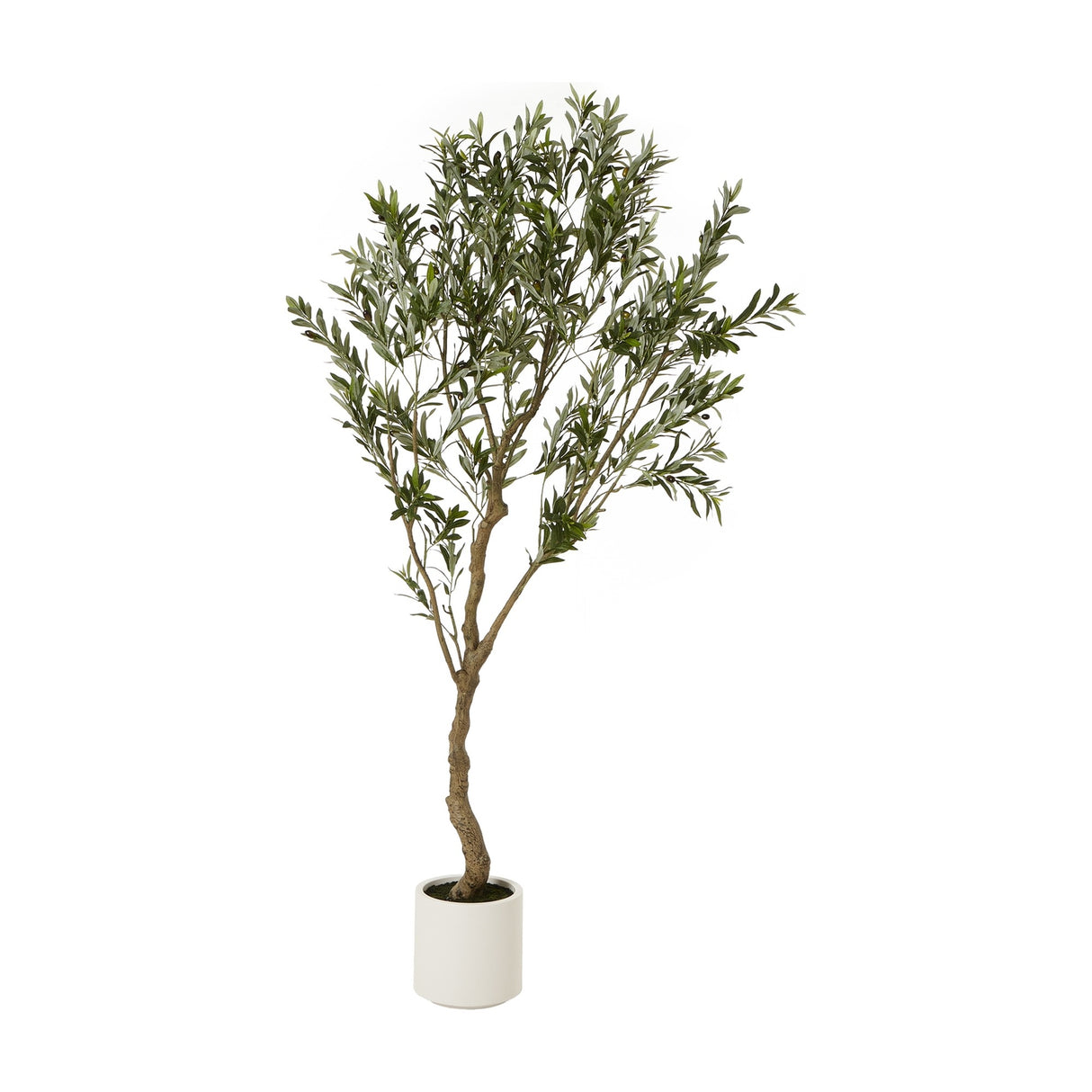 Hill Interiors Apulia 200cm faux olive tree with slender trunk and silvered green canopy in a white cylindrical pot on a plain background.