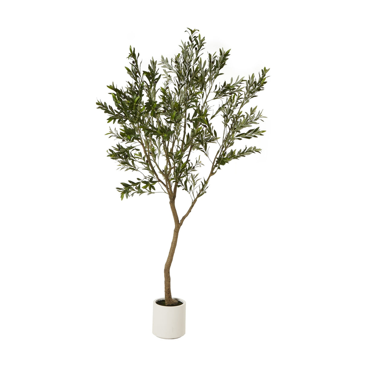 Hill Interiors Apulia 240cm artificial olive tree with slender trunk and silvery green foliage in a white cylindrical pot on a plain background.