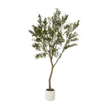 Hill Interiors Apulia 240cm artificial olive tree with slender trunk and silvery green foliage in a white cylindrical pot on a plain background.