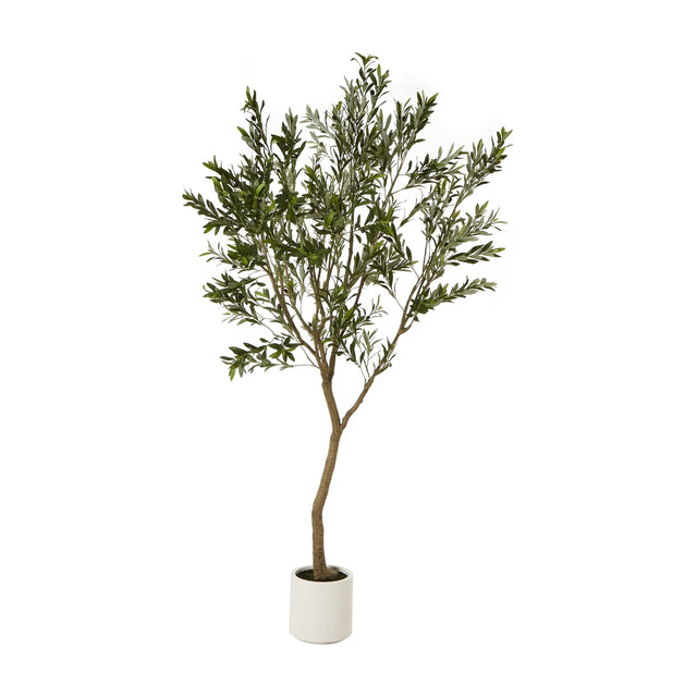 Hill Interiors Apulia 240cm artificial olive tree with slender trunk and silvery green foliage in a white cylindrical pot on a plain background.