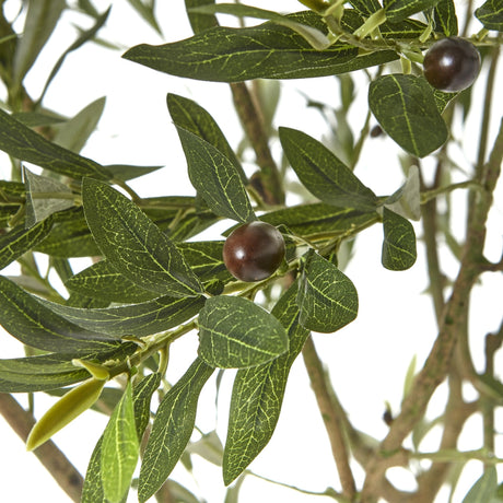 Close-up of Hill Interiors Apulia artificial olive tree foliage with narrow green leaves and dark olives clustered along slender branches.