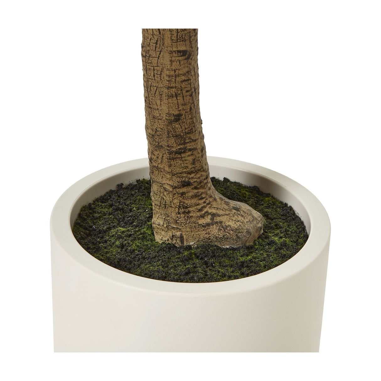 Close-up of the Hill Interiors Apulia Olive Tree base showing the textured trunk set in moss-covered soil within a white cylindrical pot.