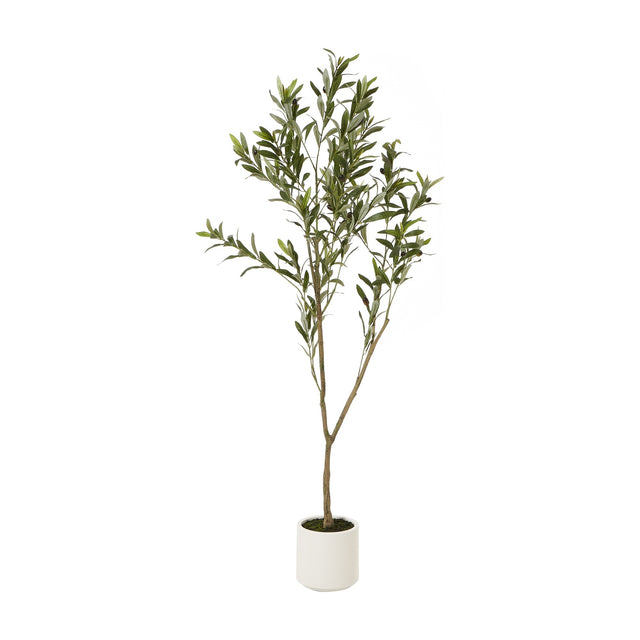 Hill Interiors Apulia 150cm faux olive tree with slender trunk and silver-green foliage in a white pot, shown on a plain white background.