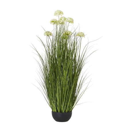 Hill Interiors White Allium Plant featuring tall green grass-like stems topped with white spherical florets in a small black pot, on a white background.