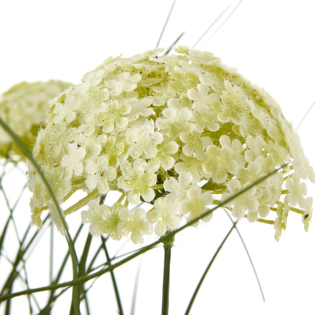 Close-up of Hill Interiors White Allium Plant In Pot showing a spherical cluster of tiny white florets on a slim green stem against a plain white background.