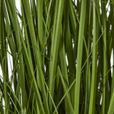 Close-up of the Hill Interiors White Allium Plant In Pot showing slim green blade-like foliage against a plain white background.