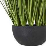 Close-up of Hill Interiors White Allium Plant In Pot showing green blade-like foliage rising from a textured matte black round pot against a white background.