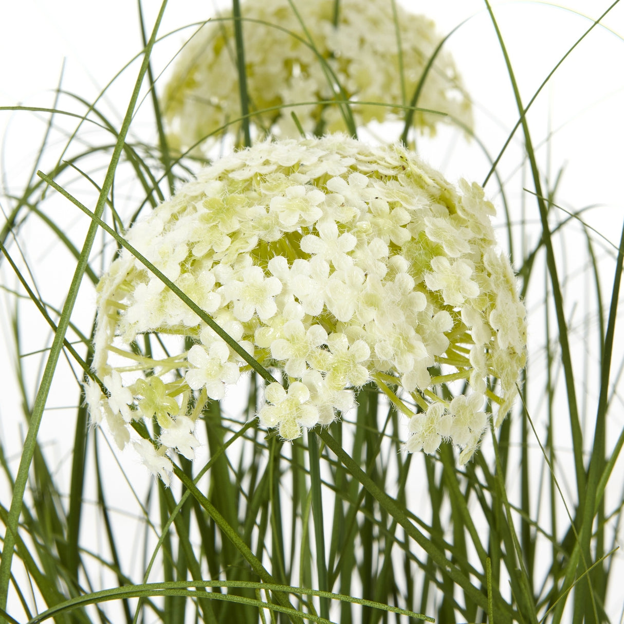 Hill Interiors Large White Allium Plant close-up with globe-shaped clusters of tiny white florets on slender green stems against a white background.
